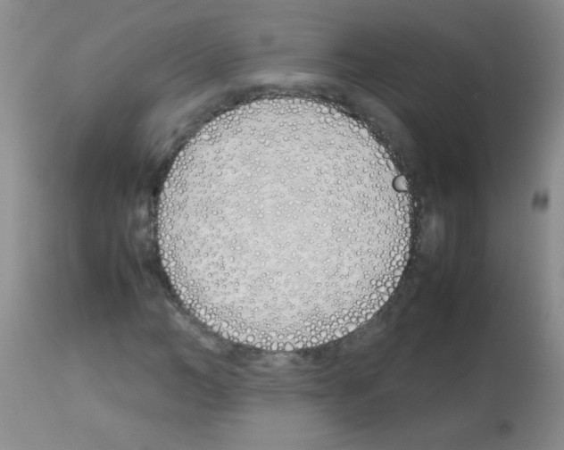 X0000113210966200910221059