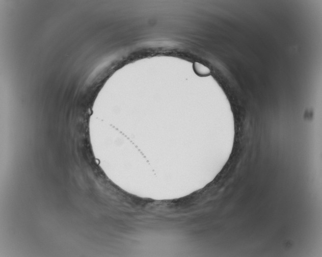 X0000113210967200910221059