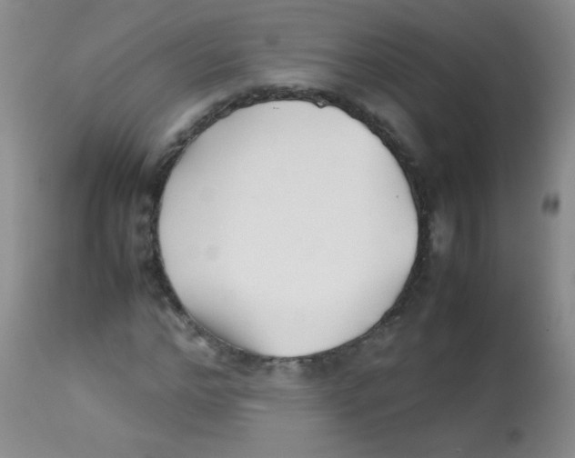 X0000113210968200910221059