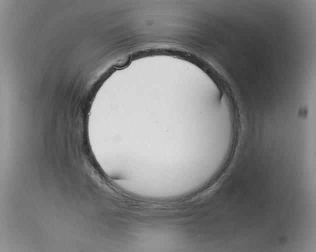 X0000113210969200910221059