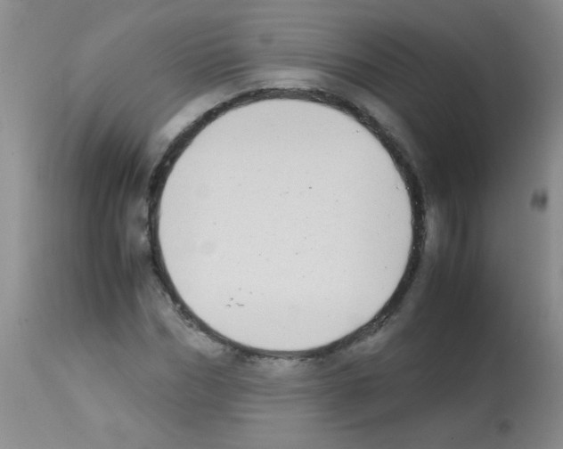 X0000113210970200910221059