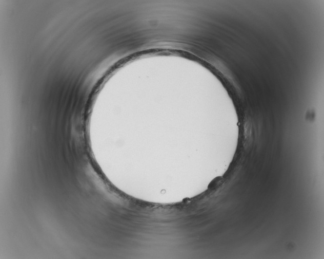 X0000113210972200910221059