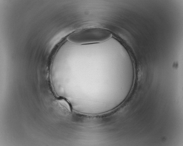 X0000113210973200910221059