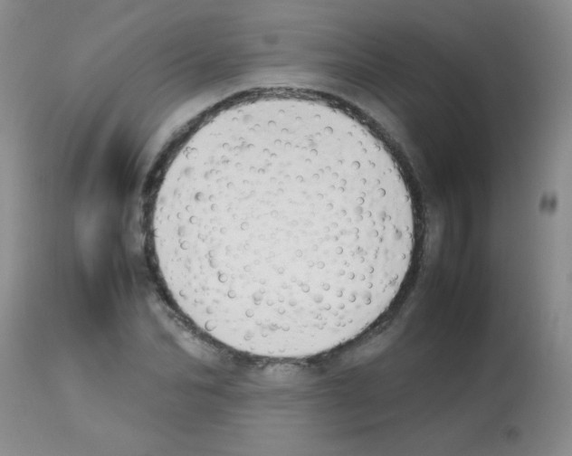 X0000113210974200910221059