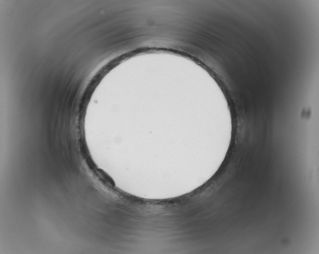 X0000113210976200910221059