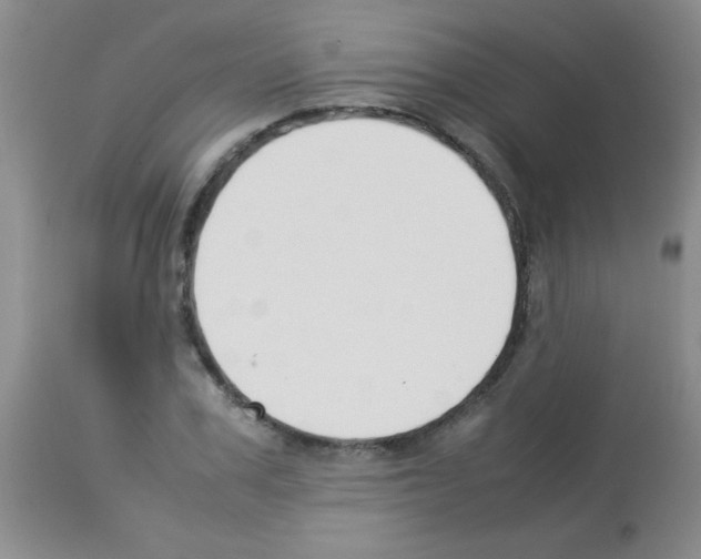 X0000113210979200910221059