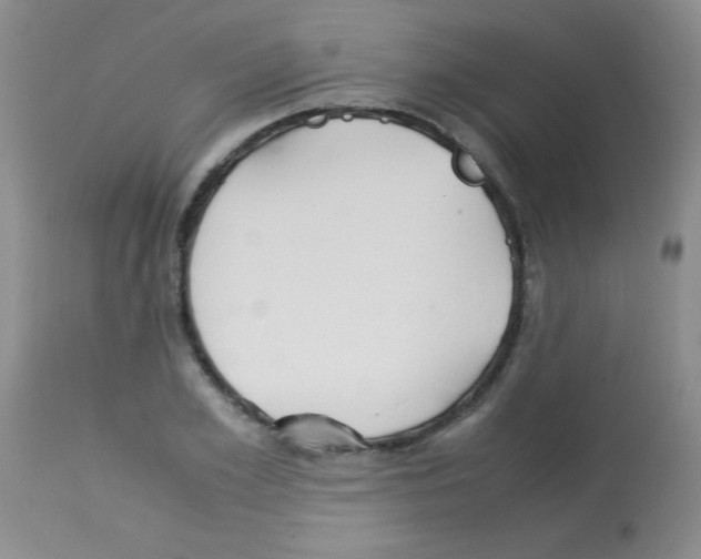 X0000113210981200910221059