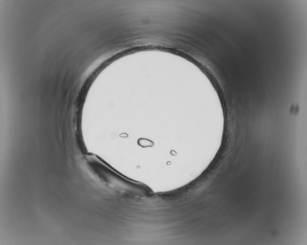 X0000113210983200910221059