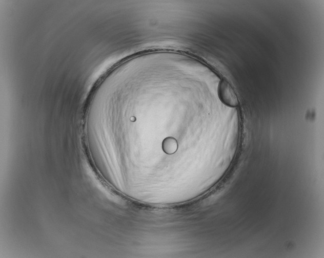 X0000113210989200910221059