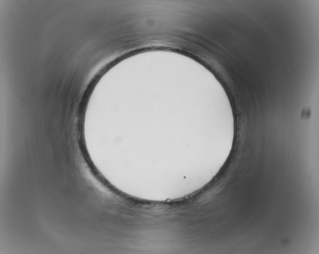 X0000113210991200910221058