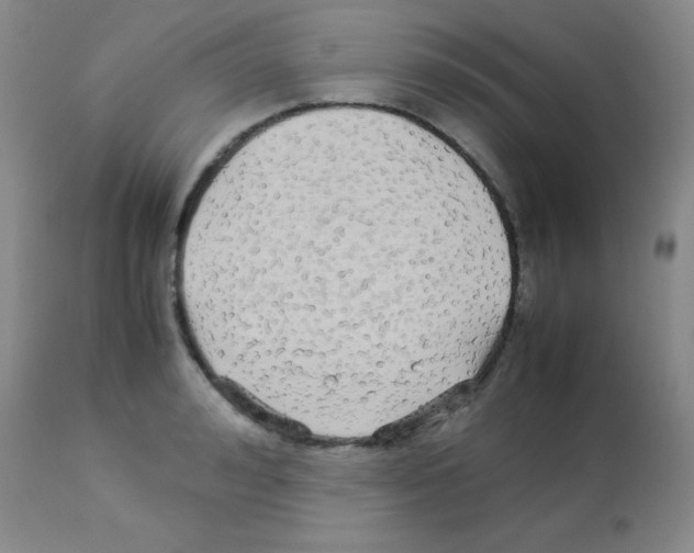 X0000113210992200910221058