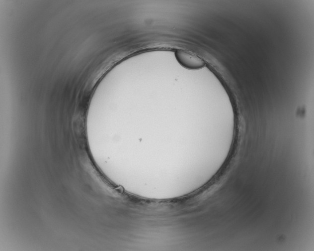 X0000113210993200910221058