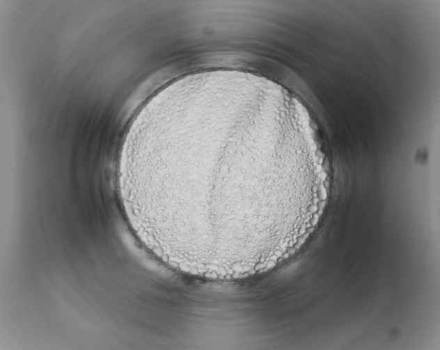 X0000113210994200910221058