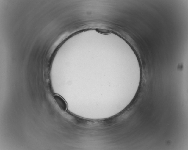 X0000113210997200910221058