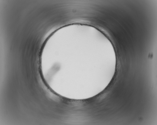 X0000113210999200910221058