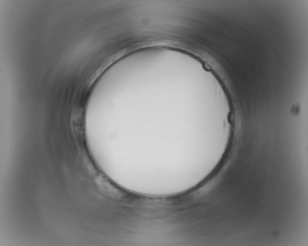 X0000113211001200910221058