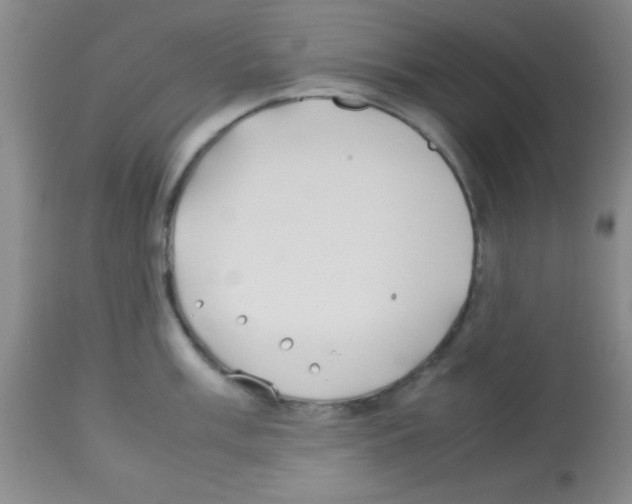 X0000113211003200910221058