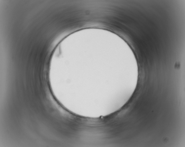 X0000113211007200910221058