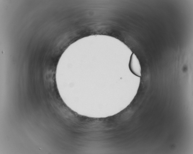 X0000113211010200910221057