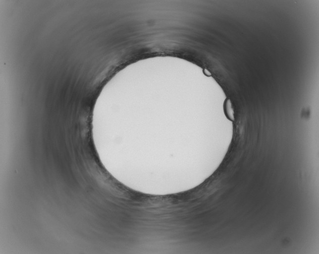 X0000113211012200910221057