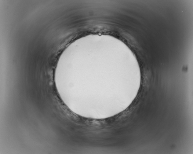 X0000113211013200910221057