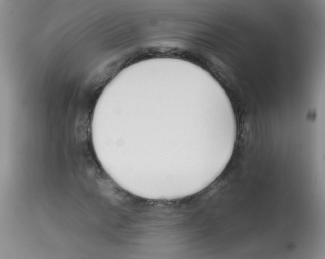 X0000113211014200910221057