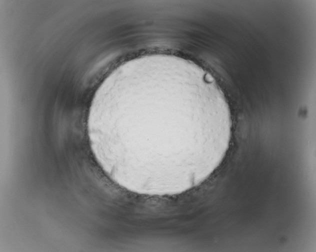 X0000113211015200910221057