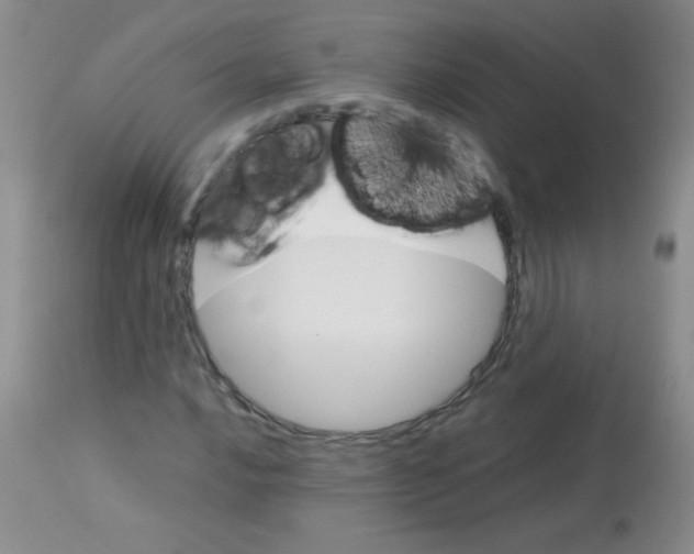 X0000113211016200910221058