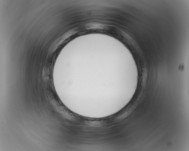 X0000113211017200910221058