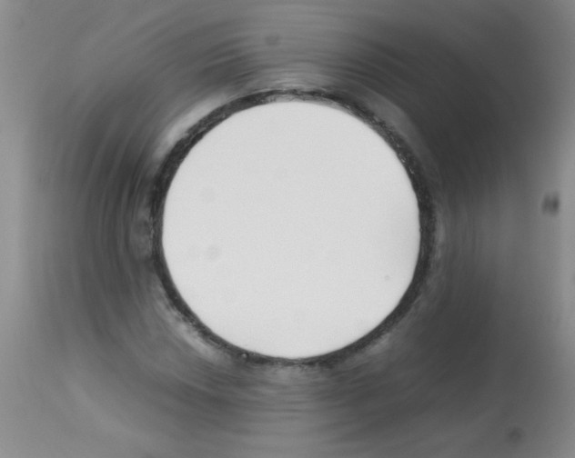 X0000113211018200910221058