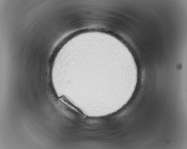 X0000113211021200910221058