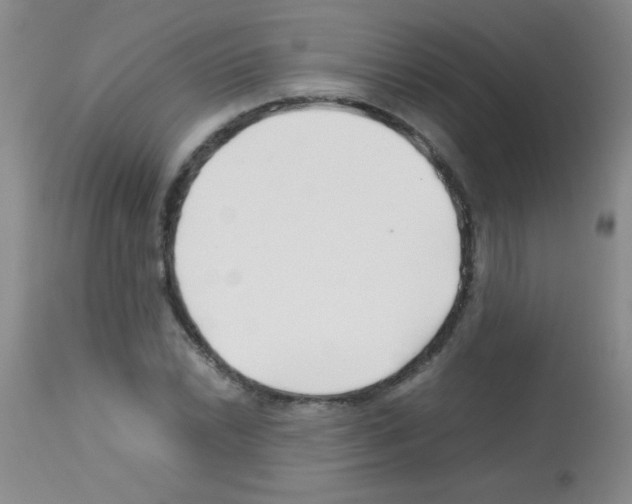 X0000113211022200910221058