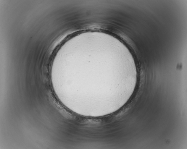 X0000113211023200910221058