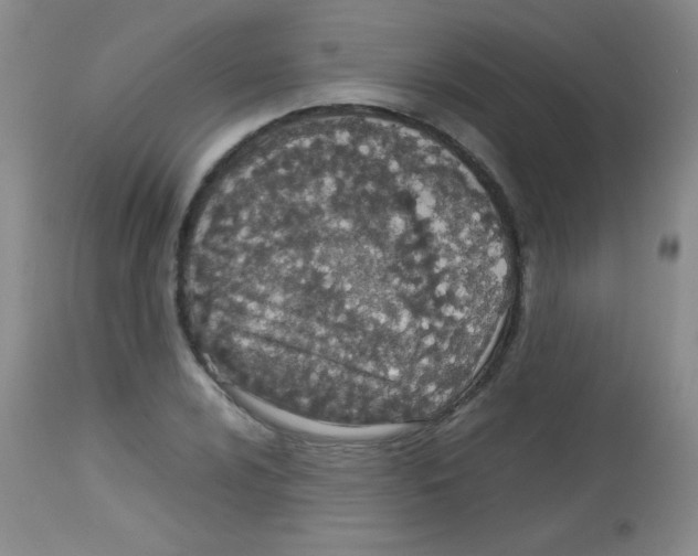 X0000113211024200910221058