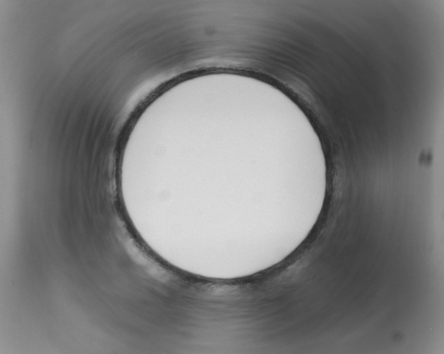 X0000113211030200910221058