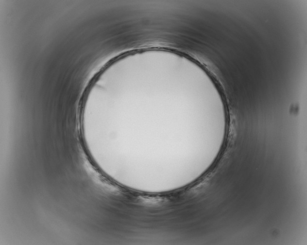 X0000113211031200910221058