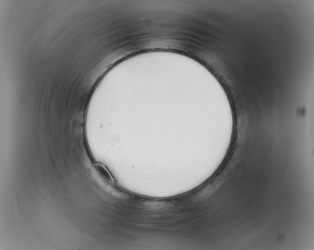 X0000113211033200910221058