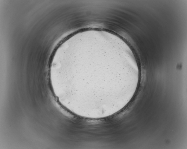 X0000113211037200910221058