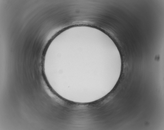 X0000113211038200910221058