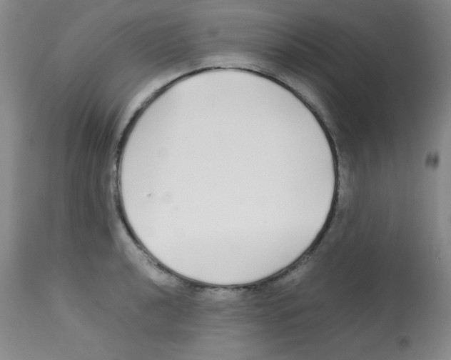 X0000113211040200910221058