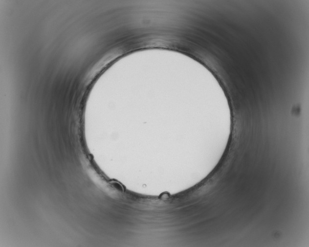 X0000113211042200910221058