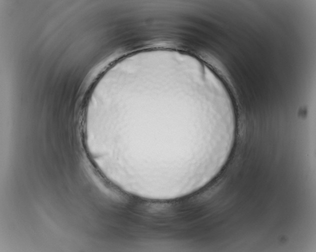 X0000113211043200910221058