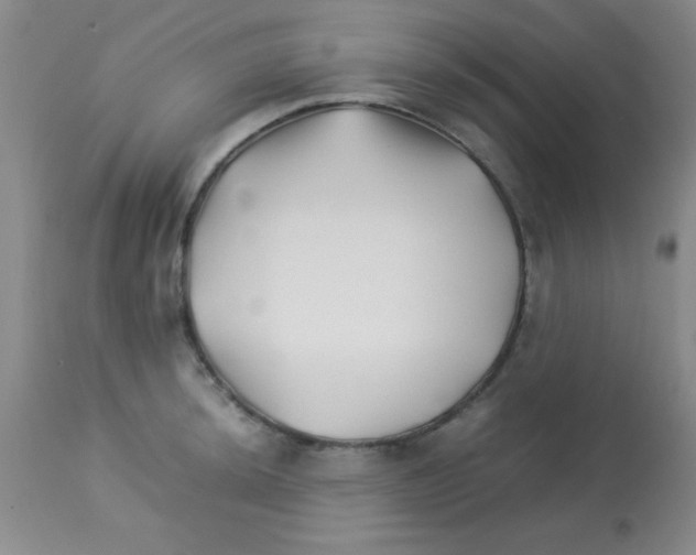 X0000113211044200910221058