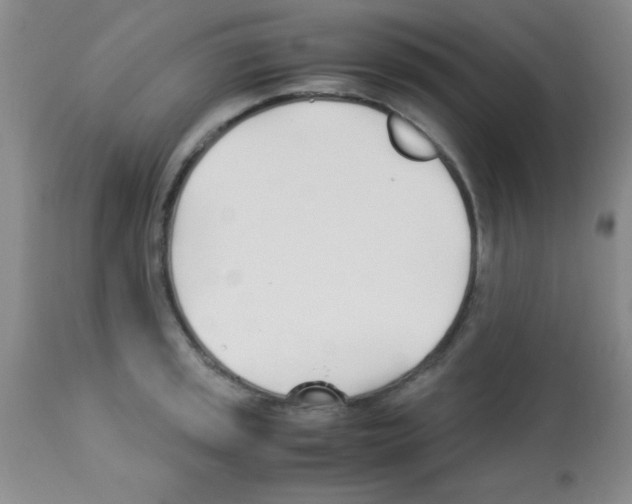 X0000113211045200910221058