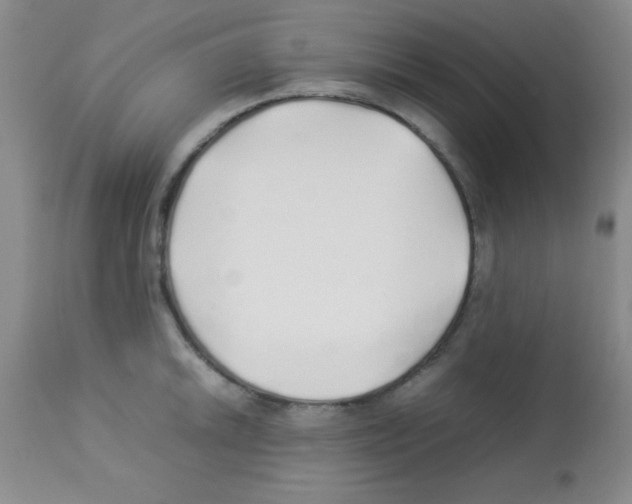 X0000113211046200910221058