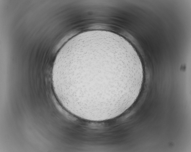 X0000113211049200910221058