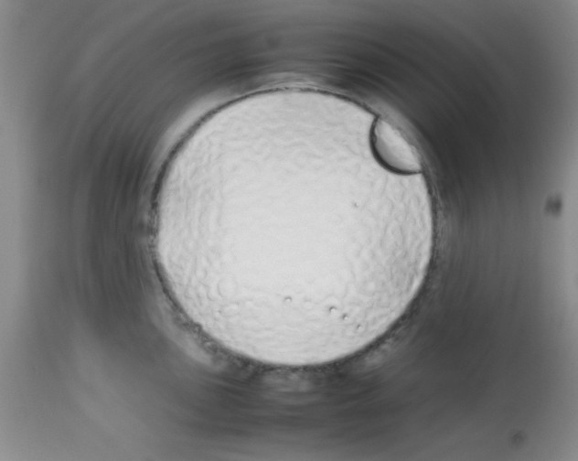 X0000113211051200910221058