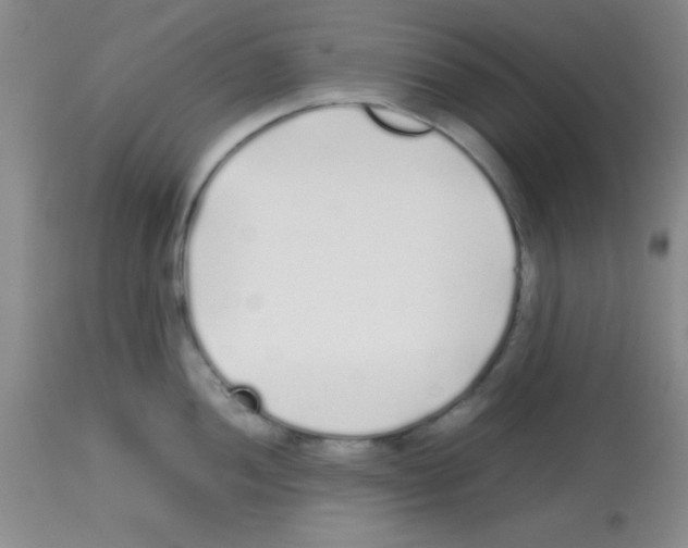 X0000113211052200910221058