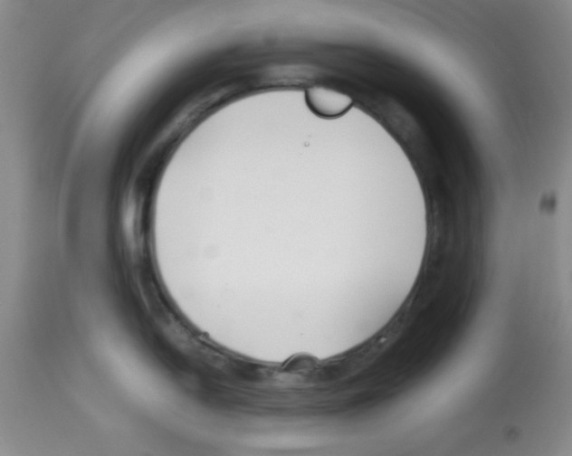 X0000113211054200910221058