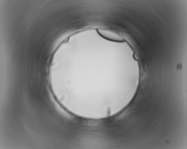 X0000113211055200910221058